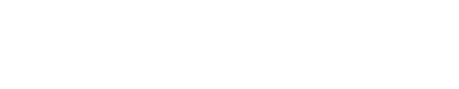 TurkishWIN Logo